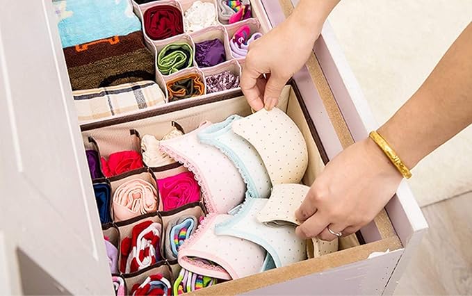 Winkelen Innerwear Organiser for Wardrobe