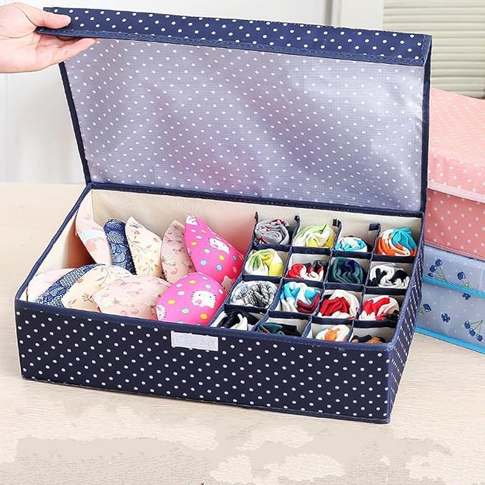 Winkelen Innerwear Organiser for Wardrobe